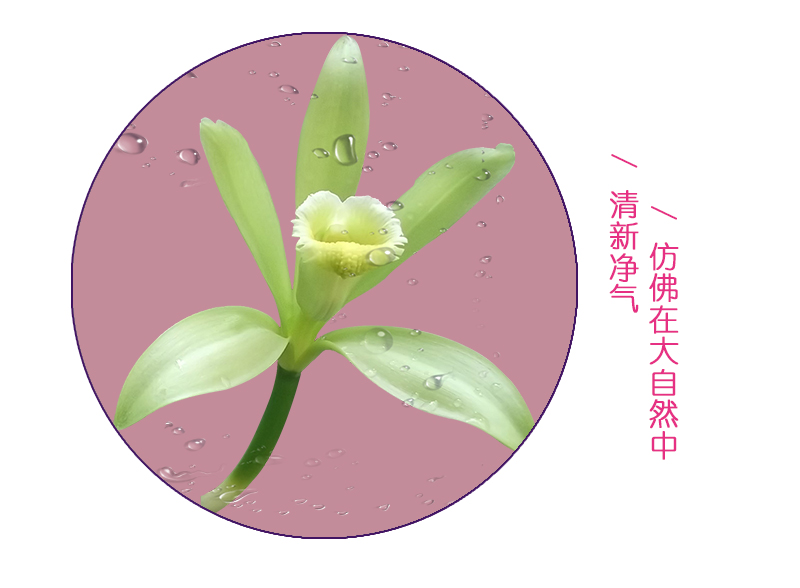 tatale避孕套香芬系列薰衣草香10只裝(圖6) tatale避孕套香芬系列薰衣草香10只裝(圖6)